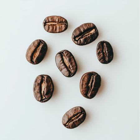 A collection of roasted coffee beans arranged artistically on a white surface. The brown tones create a beautiful contrast, perfect for coffee enthusiasts.の素材