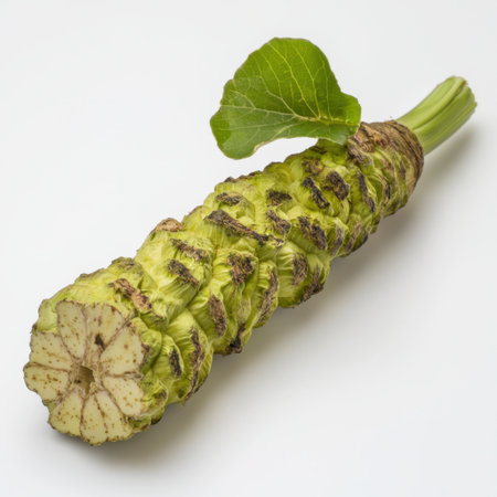 Fresh wasabi root displayed on a clean white background, showcasing its unique texture and vibrant color, perfect for culinary applications and gourmet dishes.の素材