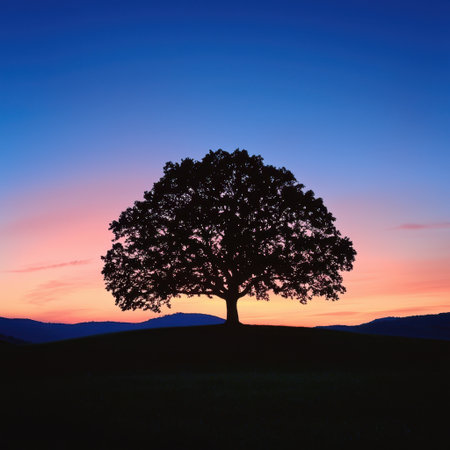 A striking silhouette of a tree stands gracefully against a vibrant sunset sky, showcasing the beauty of nature's evening palette in a tranquil landscape.の素材