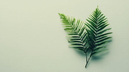 This image showcases lush green fern leaves against a soft neutral background, ideal for nature enthusiasts and interior design inspiration.の素材