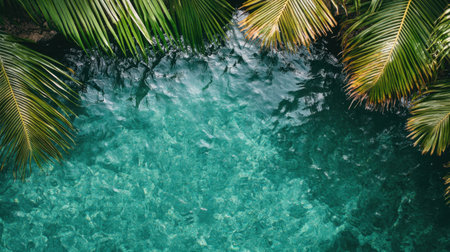 Experience the beauty of clear blue tropical water framed by lush green palm leaves, creating a serene and peaceful environment perfect for relaxation.の素材