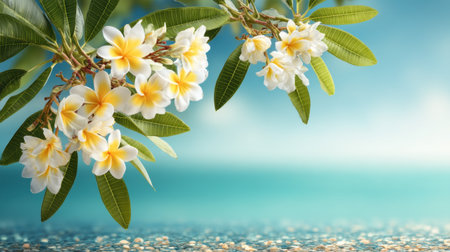 A stunning arrangement of blooming plumeria flowers with lush green leaves against a soft ocean backdrop, conveying tranquility, beauty, and relaxation.の素材
