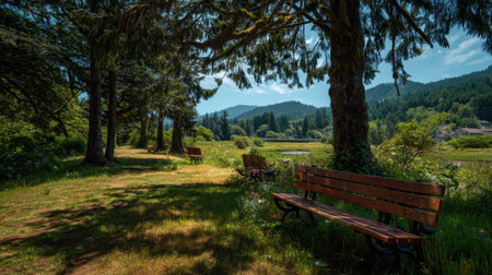 This image captures a peaceful park scene, showcasing wooden benches under tall trees with a backdrop of verdant hills and a clear blue sky.の素材