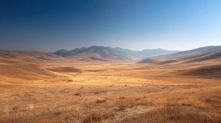 This stunning image captures a tranquil landscape featuring expansive golden grasslands under a clear blue sky, with majestic mountains rising in the background.の素材
