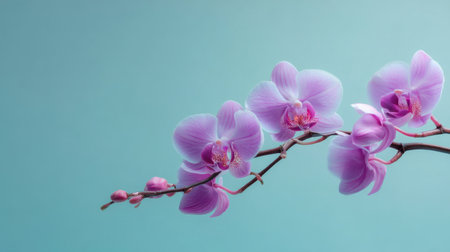 This beautiful image features delicate pink orchids gracefully cascading over a soft teal background, encapsulating nature's elegance and tranquility.の素材