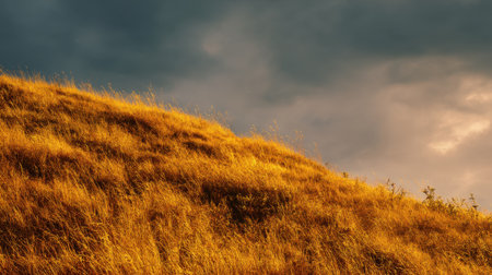 A stunning view of a golden grassy hill illuminated by warm light, set against a dark, cloudy sky, creating a dramatic landscape atmosphere.の素材