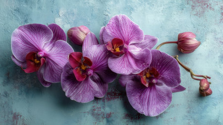 This stunning close-up image showcases vibrant purple orchid flowers gracefully arranged on a soft blue background, creating an elegant and serene vibe.の素材