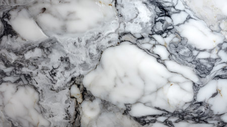 This image showcases an elegant white marble surface featuring intricate gray veins, perfect for interior design applications and stylish backgrounds.の素材