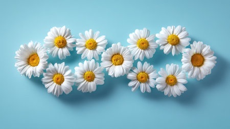 This image showcases a creative arrangement of white daisies forming an endless loop on a soft blue background, symbolizing beauty and tranquility.の素材