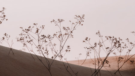 A serene desert scene featuring delicate wildflowers growing on sandy dunes, illuminated by soft sunset light, creating a tranquil atmosphere.の素材