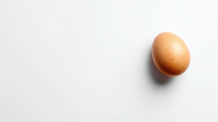 A solitary brown egg rests on a smooth white surface, casting a soft shadow. This minimalist composition emphasizes freshness and simplicity, ideal for culinary themes.の素材