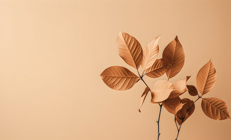 Bronze brown Minimalist leaves on a pale orange flat wall background.の素材