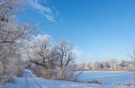 Landscape With Snowy Trees. Frozen Lake.の写真素材