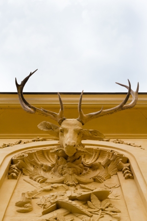 A stone deer head with real antlers on a wall of a noble buildingの写真素材