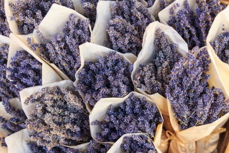 Lavender prepared to sell on a marketの写真素材