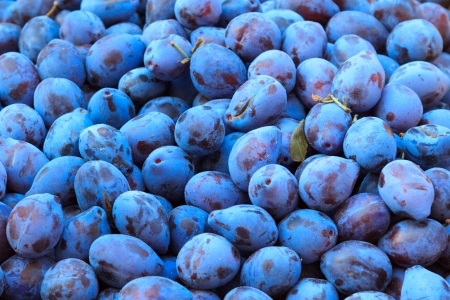 Many fresh plums on a marketの写真素材