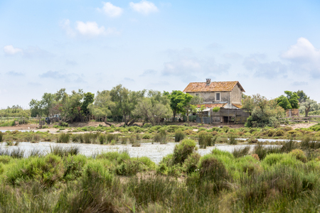 A lost and abandoned house in the swamp of Camargue, Provence, Franceの写真素材