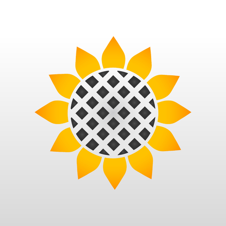 Orange Sunflower with black seedsのイラスト素材