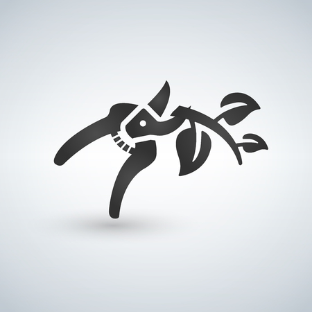 Pruner isolated vector icon cutting the branch.のイラスト素材