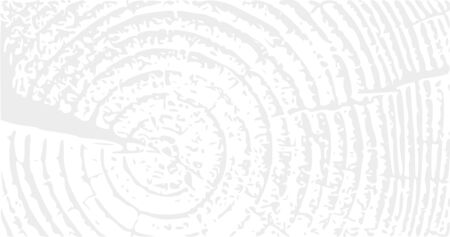 Annual tree growth rings, cross-section of a tree trunk background.のイラスト素材