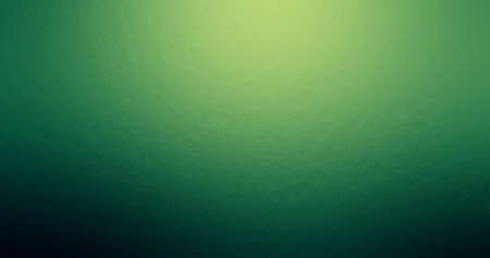 Facial recognition system identification face scan line art vector icon for apps and websites. Face ID icon. Stock Vector illustration isolatedのイラスト素材