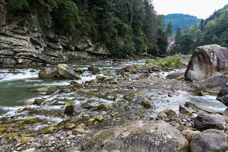 Carpathian Mountain stream in a green forestの写真素材