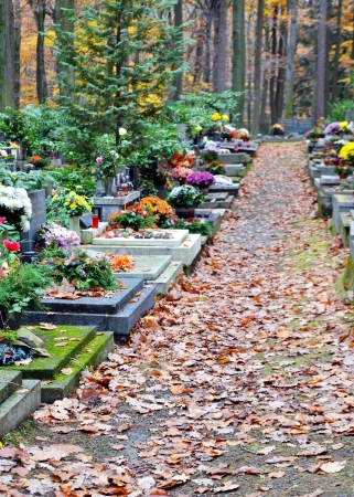 Tombs with flowers and leaves on path at cemeteryの写真素材