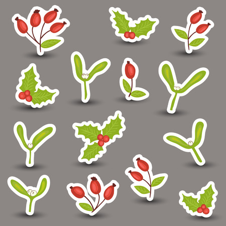 Christmas winter natural decoration - rosehip, mistletoe and hollyのイラスト素材