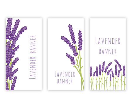 Vector floral set of colored lavender design elements. Spring or summer lavender hand drawn banners.のイラスト素材