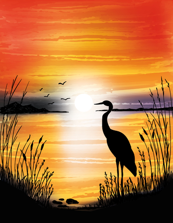 The heron on the lake on sunset, digital watercolor painting