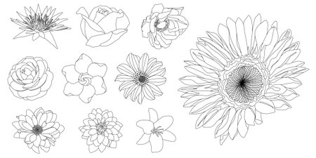 Different types of flowers in line art style for design customization isolated on white backgroundのイラスト素材