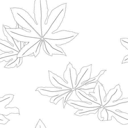 Aralia leaves pattern line art for decorate your designs with tropical illustration isolated on white backgroundのイラスト素材