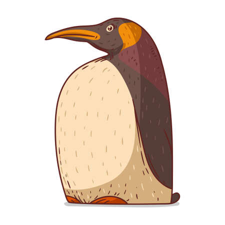 A Penguin, isolated vector illustration. A King Penguin. Cute cartoon picture of an Emperor penguin sitting. A funny bird sticker. Simple drawing of a seabird on white background. An arctic animalのイラスト素材