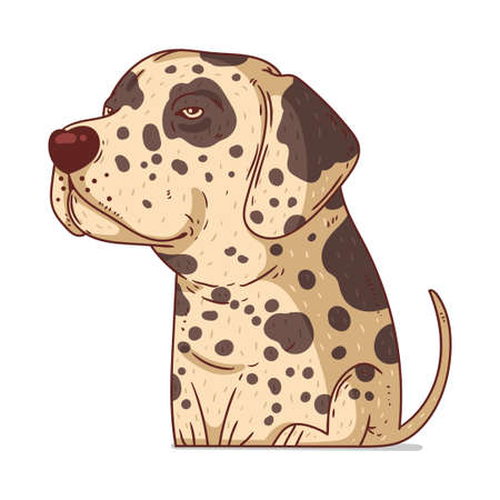 A Dalmatian, isolated vector illustration. Cute cartoon picture for children of a kind calm dog. Drawn dog sticker. Simple drawing of serene genial Dalmatian on white background. A pet. A puppyのイラスト素材