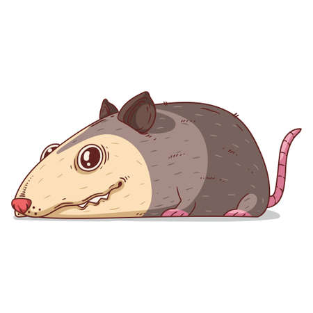 A Possum, isolated vector illustration. Funny cartoon picture for children of tired opossum lying. A...
