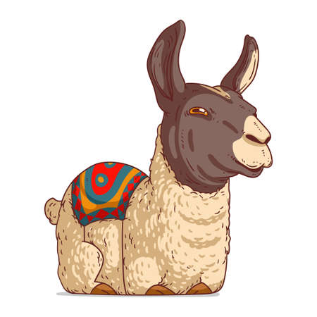 A Llama, isolated vector illustration. Funny cartoon picture of a calm alpaca lying. A drawn animal sticker. Simple drawing of a cute llama on white background. A wild Peruvian animalのイラスト素材
