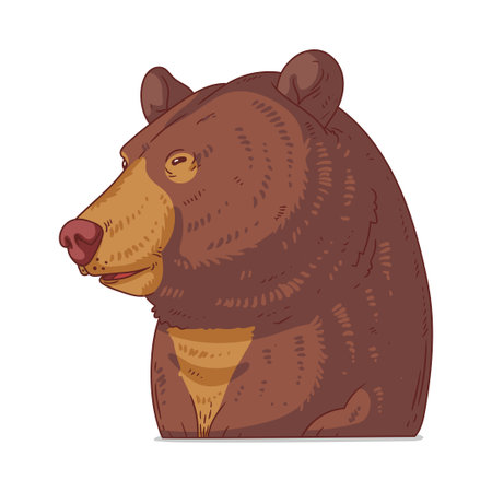 A Brown Bear, isolated vector illustration. Cute cartoon picture of a calm bear sitting. animal sticker. Simply drawn grizzly on white background. A big dangerous wild animal. A carnivoreのイラスト素材
