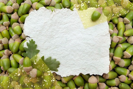 Decorative acorn background with a piece of textured paperの写真素材