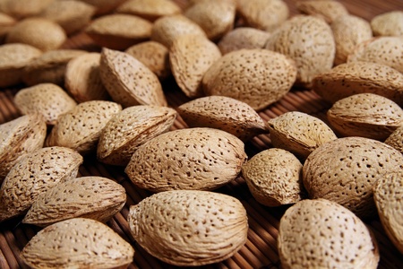 Close-up of shelled tasty fresh Almond nuts の写真素材