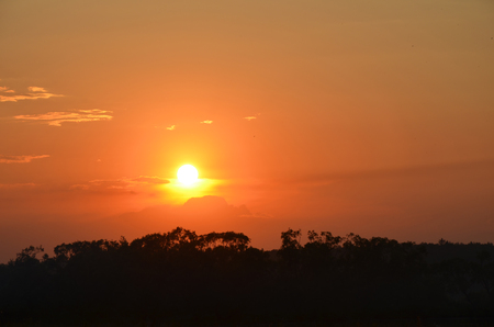 sunset forestの写真素材