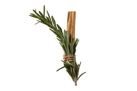 Rosemary twig with cinnamon stick isolated on a white background.の写真素材