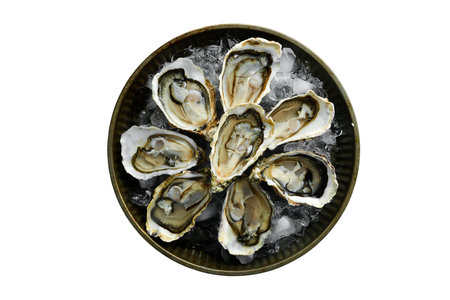 Fresh oysters on ice isolated on white background. top view.の写真素材