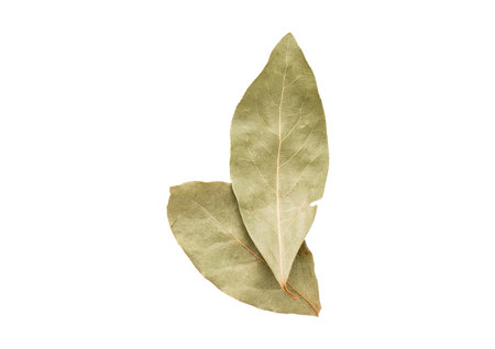 Dry bay leaves isolated on white background. top view. Flat lay.
