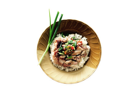 #3158 Duck rice with meat and vegetables isolated on a transparent backgroundの写真素材