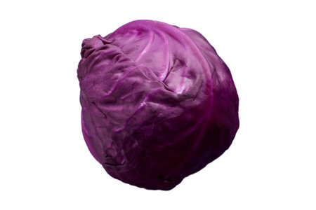 #3206 Purple cabbage isolated on a transparent backgroundの写真素材