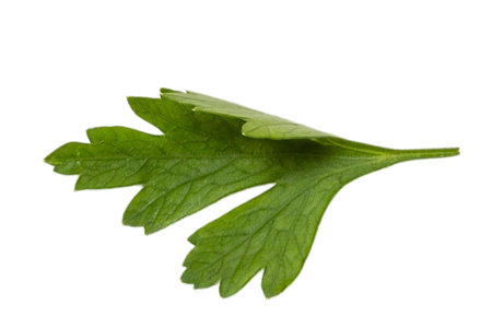 #3314 Fresh vegetable isolated on a transparent backgroundの写真素材