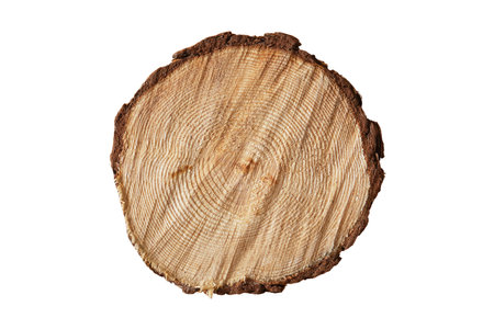 #3999 Brown wood isolated on a transparent backgroundの写真素材