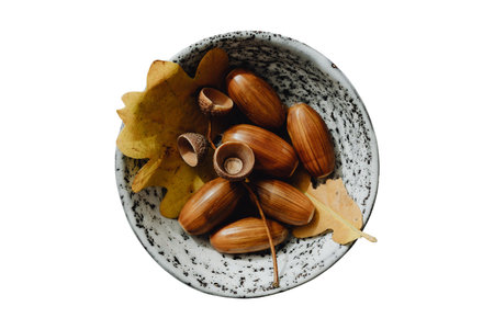 #4081 Brown nuts in a bowl isolated on a transparent backgroundの写真素材