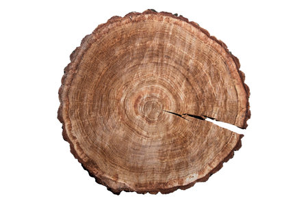 #5256 Brown wood isolated on a transparent backgroundの写真素材