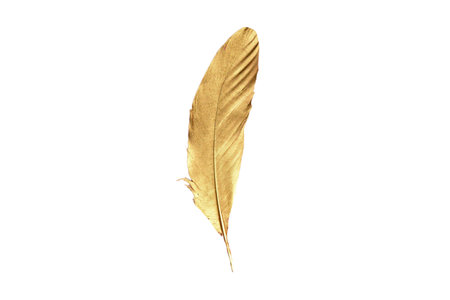 #4947 Golden feathers isolated on a transparent backgroundの写真素材